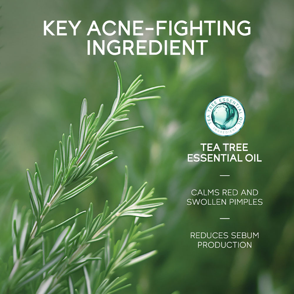 Gel Anti Acne de Óleo de Tea T - Tea Tree Spot Treatment avaliação e preço